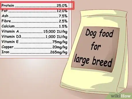 Imagen titulada Care for Great Danes Step 2