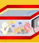 instalar un acuario marino