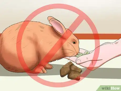 Imagen titulada Make Rabbit Treats Step 11