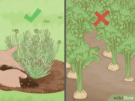 Imagen titulada Compost Dog Poop Step 7