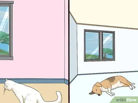 Imagen titulada Introduce a Cat to a Dog Step 1