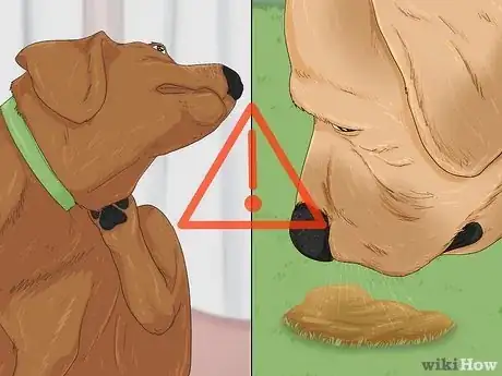 Imagen titulada Make Your Dog Stop Sleeping in Your Bed Step 15