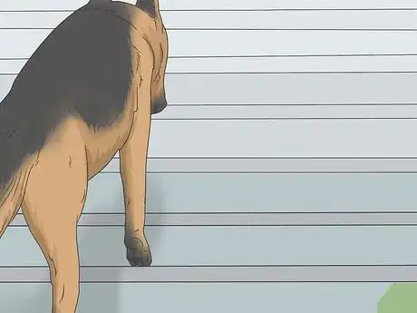Imagen titulada Train a Scared Dog to Go Down the Stairs Step 3