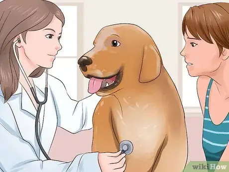 Imagen titulada Check a Dog for Ringworm Step 6