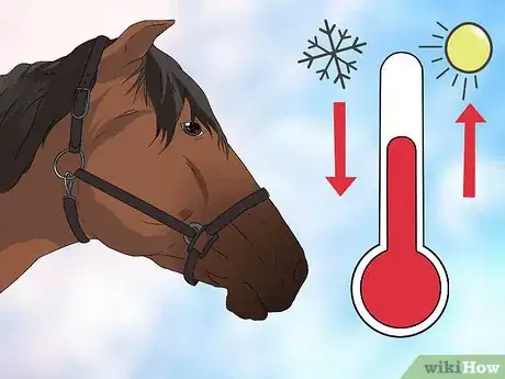 Imagen titulada Take a Horse's Temperature Step 22