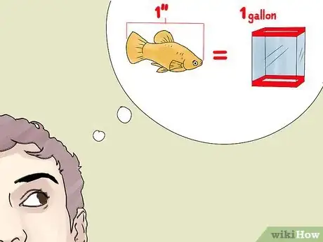 Imagen titulada Breed and Care for Platies Step 2