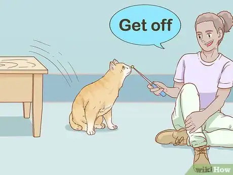 Imagen titulada Keep Cats Off Furniture Step 11