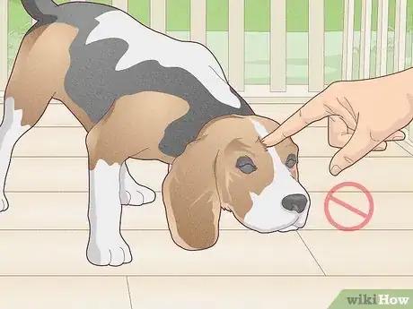 Imagen titulada Stop a Dog's Unwanted Behavior Step 5