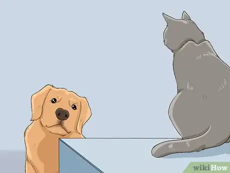 Imagen titulada Introduce a Cat to a Dog Step 4