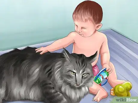 Imagen titulada Identify a Maine Coon Step 7