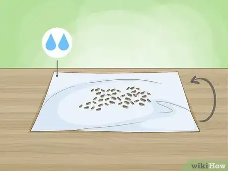 Imagen titulada Plant Sunflower Seeds Step 3