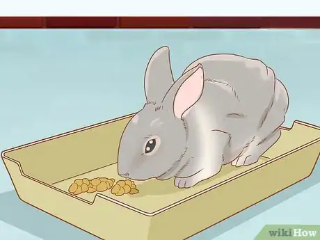 Imagen titulada Raise Rabbits Step 8