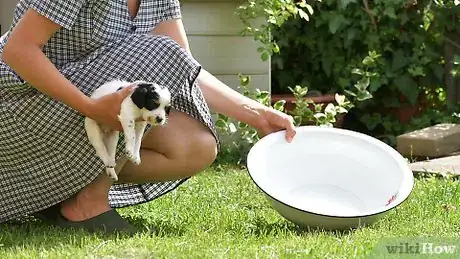 Imagen titulada Bathe Your Puppy Step 3