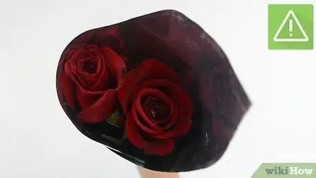 Imagen titulada Keep Roses Fresh Step 2