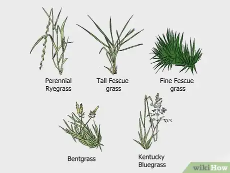 Imagen titulada Water Your Lawn Efficiently Step 8