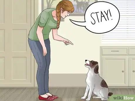 Imagen titulada Teach Your Dog Tricks Step 6