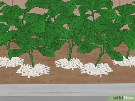 Imagen titulada Recycle Paper Step 1