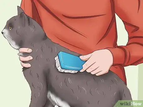 Imagen titulada Clean Your Cat When He Can't Do It Himself Step 26
