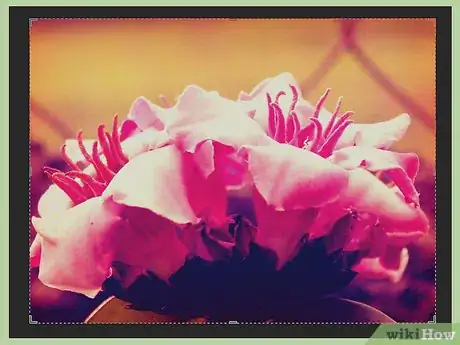 Imagen titulada Add Photoshop Filters Step 9
