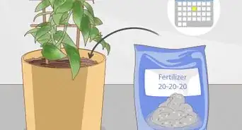 hacer que una planta de vainilla florezca