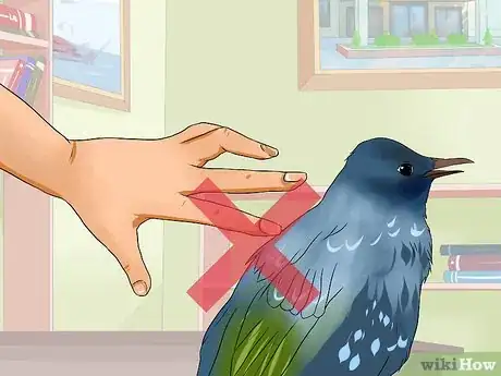Imagen titulada Chase a Bird out of an Enclosed Porch or a House Step 8