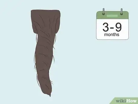 Imagen titulada Start Locs on Natural Hair Step 13