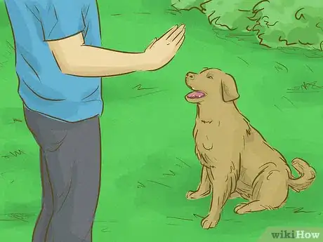 Imagen titulada Keep Your Dog Happy Step 3