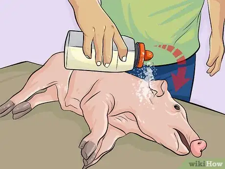 Imagen titulada Cook a Whole Pig Step 7