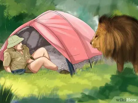 Imagen titulada Survive a Lion Attack Step 1