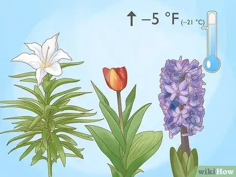 Imagen titulada Plant Bulbs in Grass Step 7