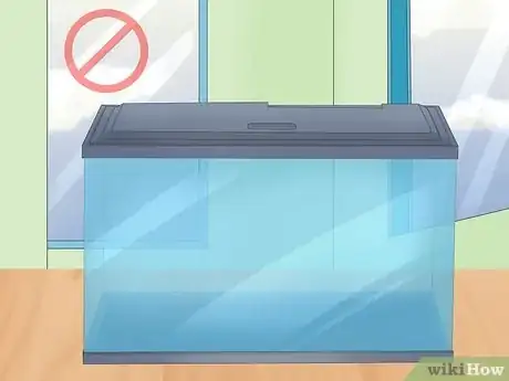Imagen titulada Care for a Marine Hermit Crab Step 2