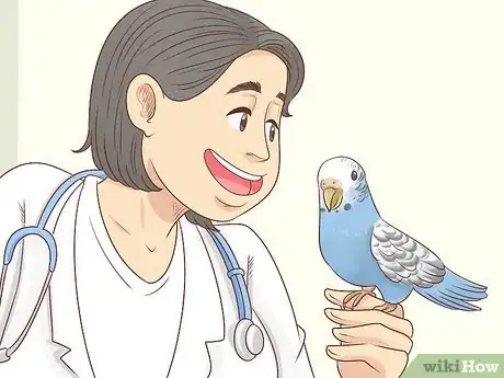 Imagen titulada Know if a Parakeet Is Right for You Step 12