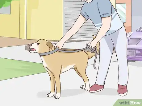 Imagen titulada Calm an Aggressive Dog Step 12