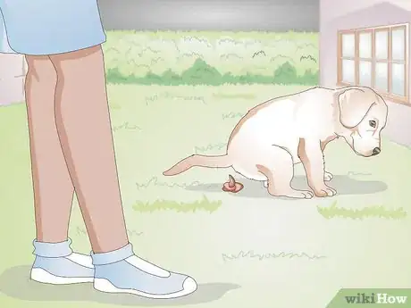 Imagen titulada Get Your Puppy To Sleep in Its Own Bed Step 10