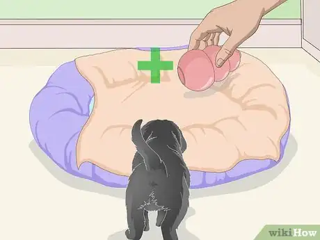 Imagen titulada Get a Puppy to Sleep Step 7