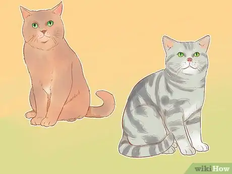 Imagen titulada Identify Cats Step 7