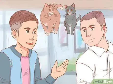 Imagen titulada Find a Lost Cat Step 5