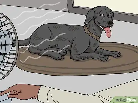 Imagen titulada Treat a Panting Dog Step 3