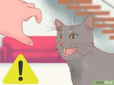 Imagen titulada Reduce Stress in Cats Step 6