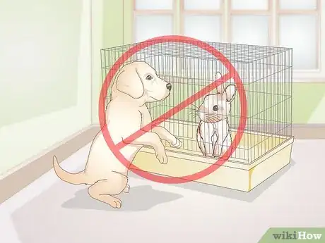 Imagen titulada Care for Your Rabbit After Neutering or Spaying Step 9