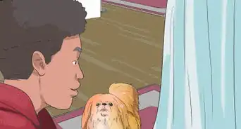 hacer que un perro deje de tirar de la ropa del tendedero