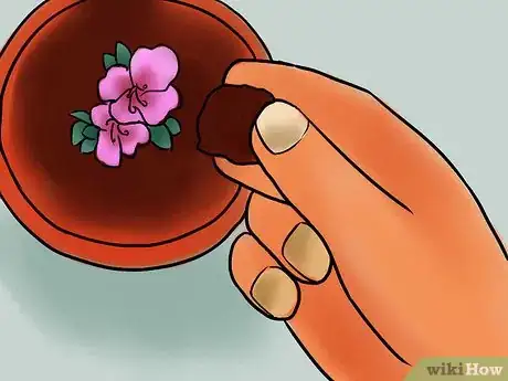 Imagen titulada Care for Azaleas Step 13