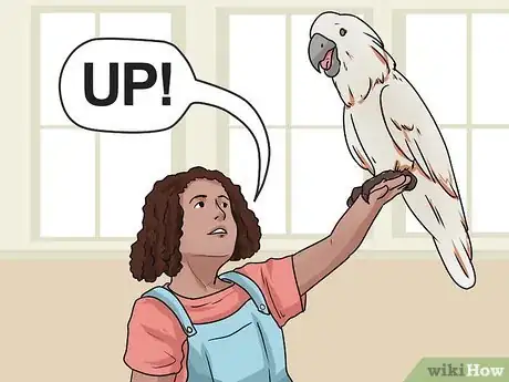 Imagen titulada Teach Your Bird to Talk Step 8