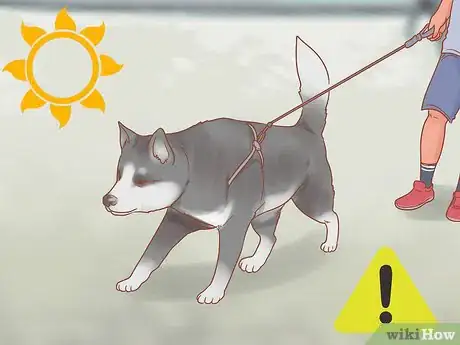 Imagen titulada Care for a Husky Step 9