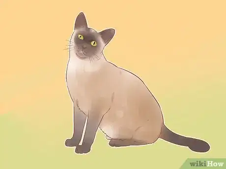 Imagen titulada Identify Cats Step 8