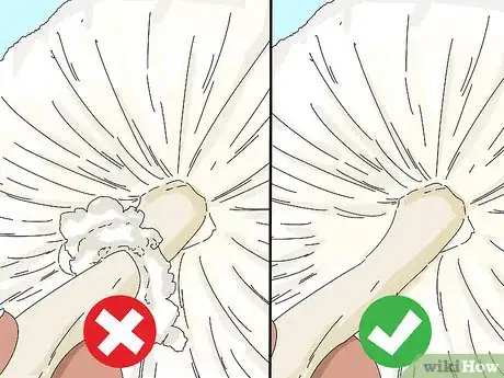 Imagen titulada Identify Edible Mushrooms Step 4