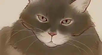 tratar el arañazo de un gato