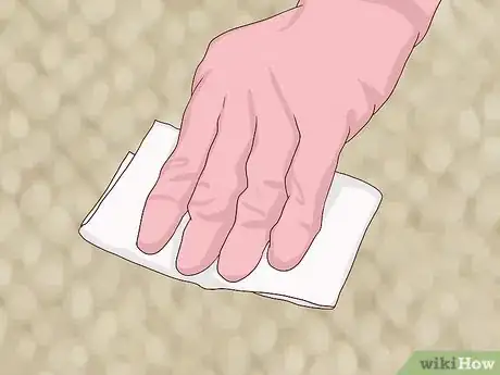 Imagen titulada Clean a Sisal Rug Step 4