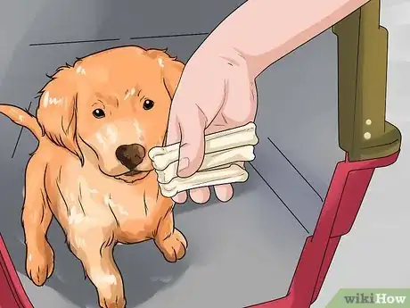 Imagen titulada Train a Golden Retriever Puppy Step 29