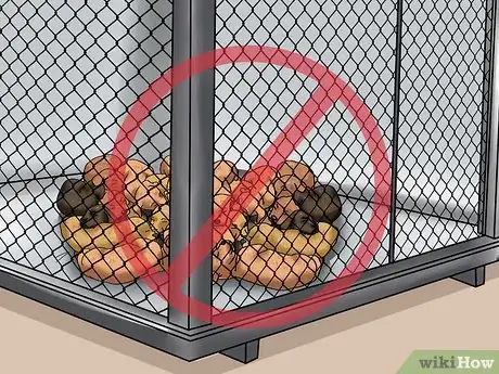 Imagen titulada Choose a Healthy Puppy Step 12